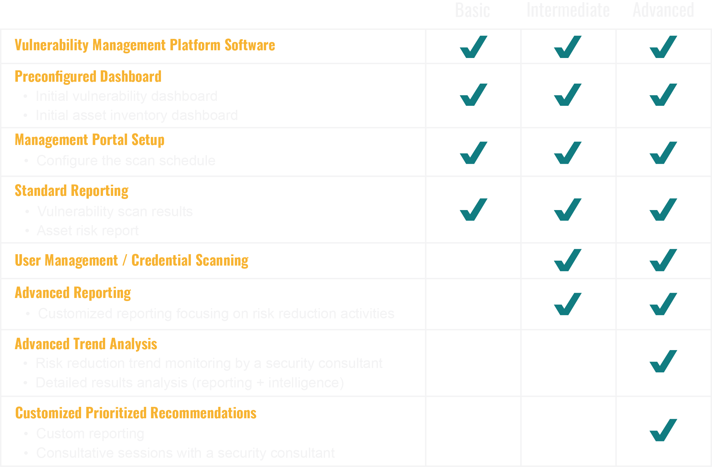 Vulnerability management as a Service package options from Dewpoint